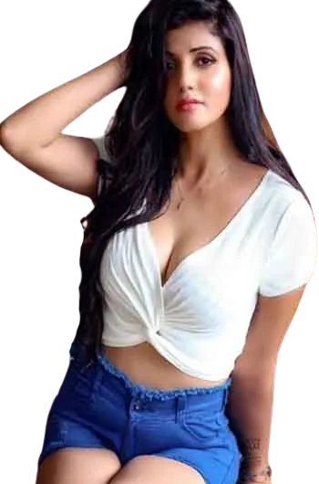 Ludhiana Call Girls